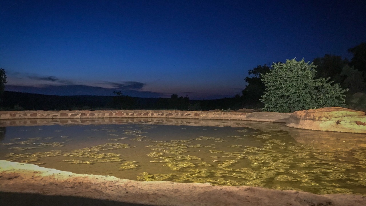 Photo of Outdoor in Vaalwater
