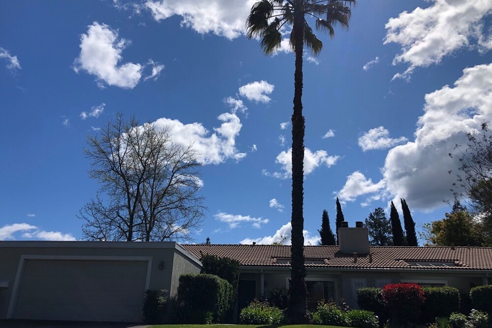 Photo of Others in St. Helena