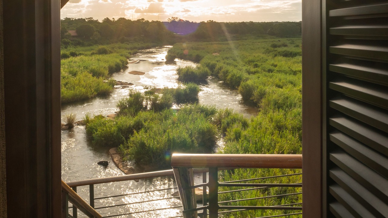 Photo of Outdoor in Skukuza