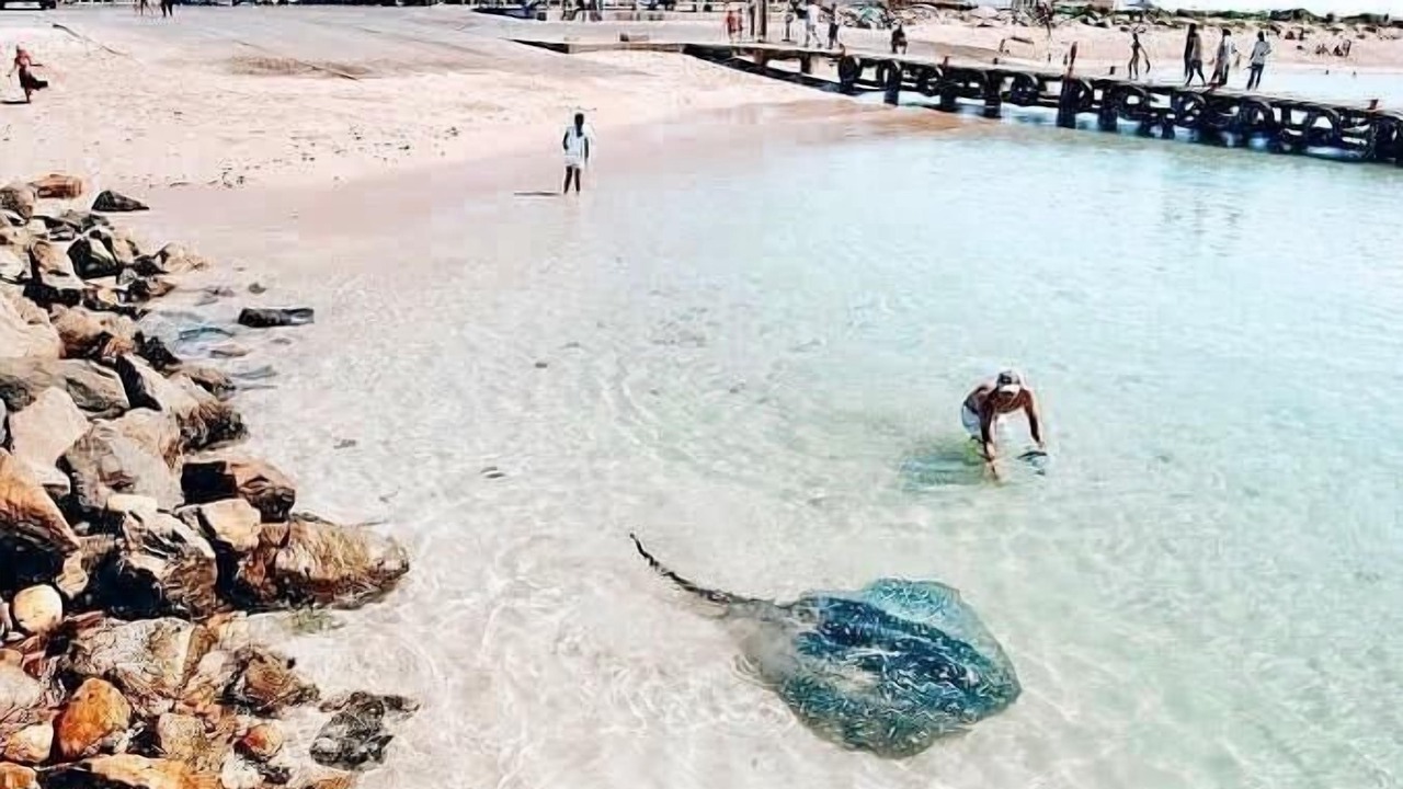 Photo of Others in Struisbaai