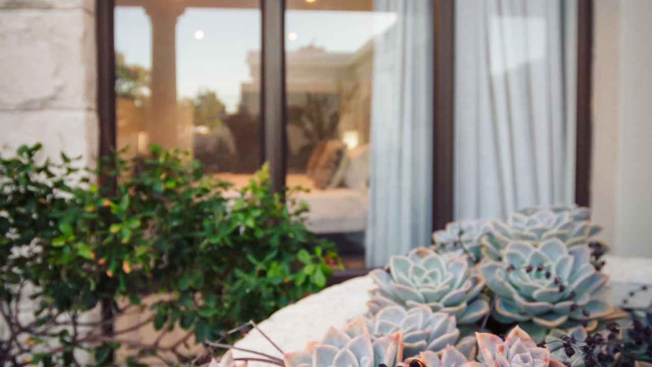 Photo of Outdoor in Struisbaai