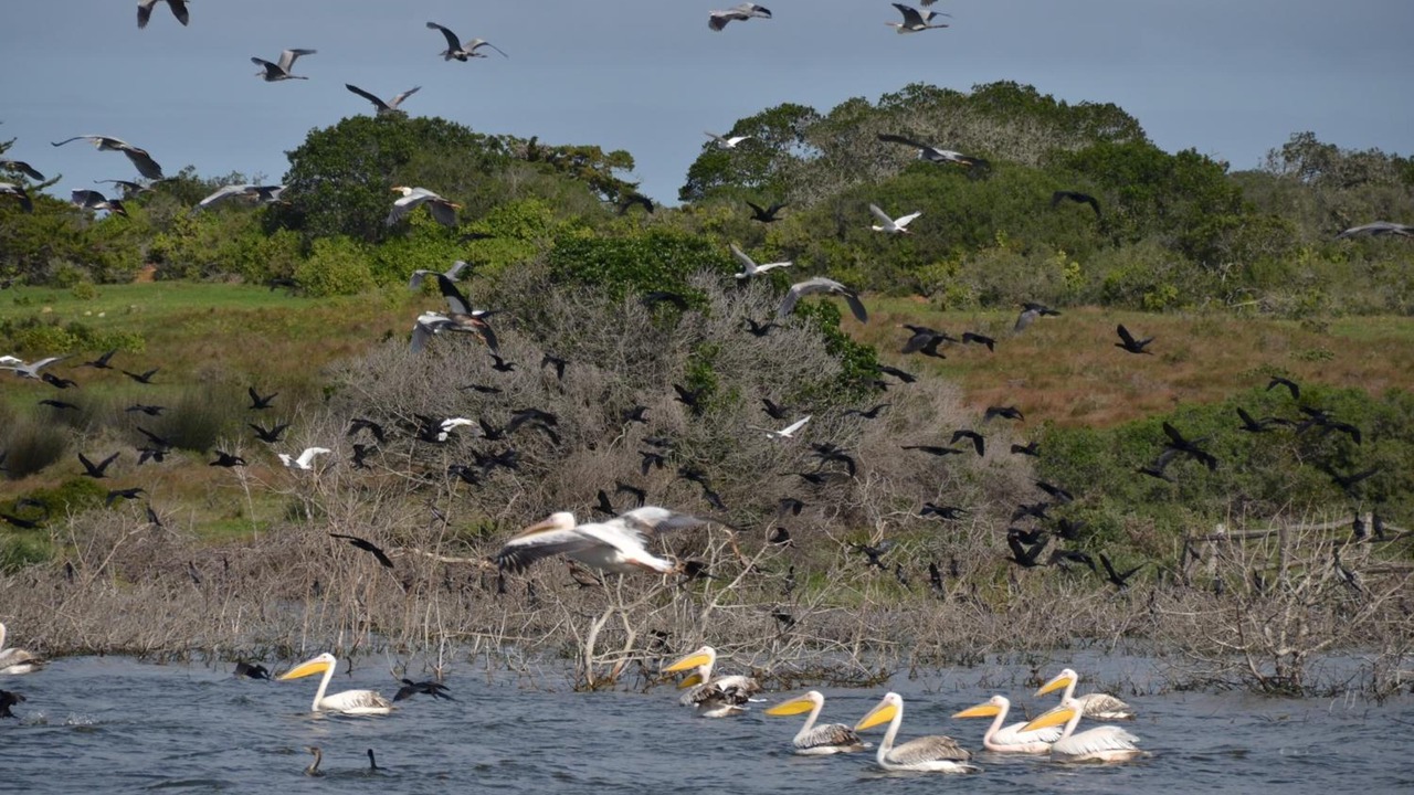 Photo of Others in Overberg