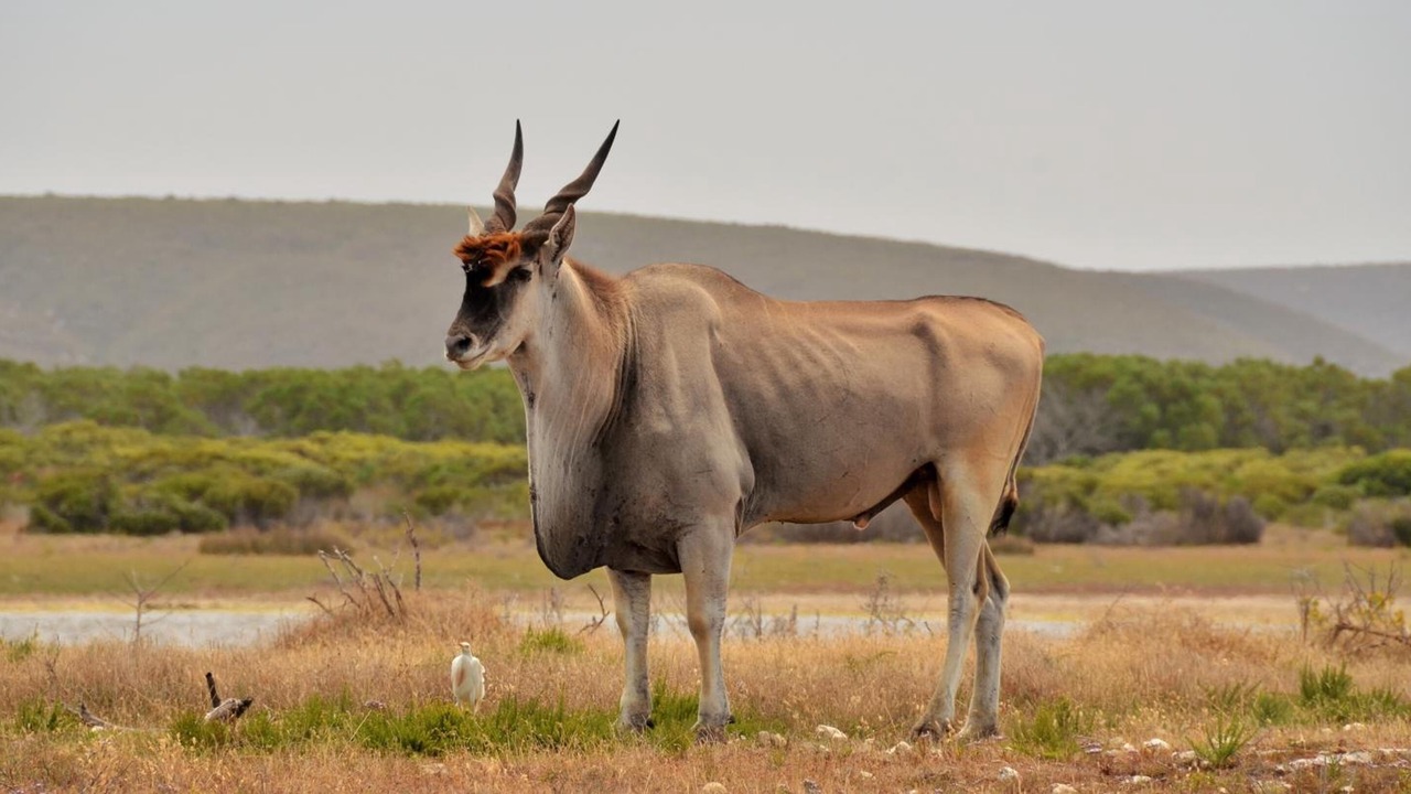 Photo of Outdoor in Overberg