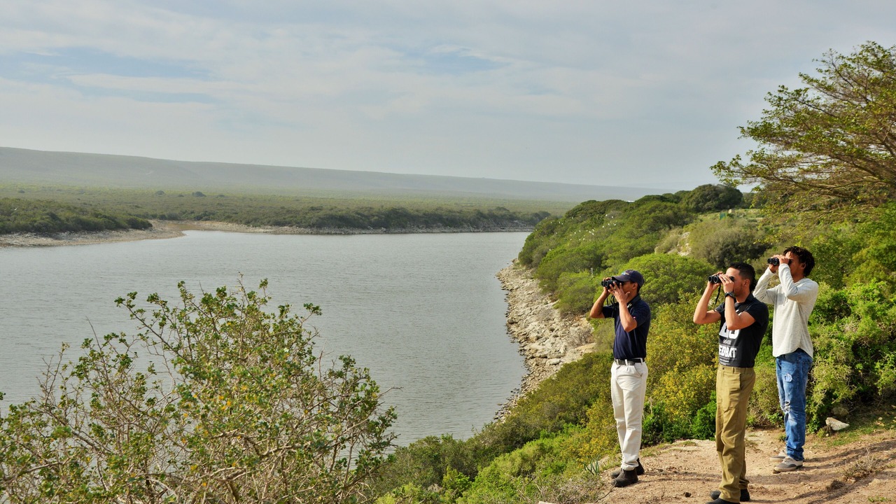 Photo of Outdoor in Overberg