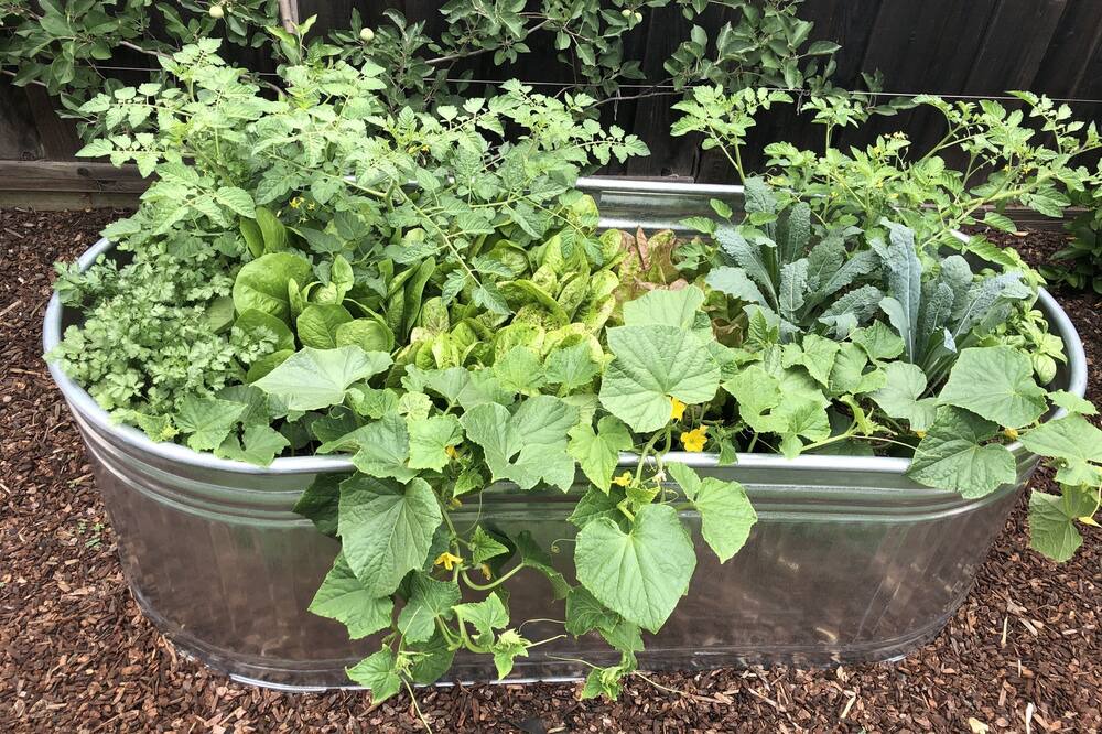 Photo of Outdoor in Menlo Park