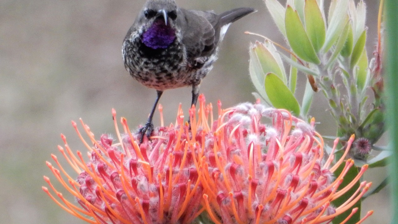 Photo of Outdoor in Buffalo Hills Game Reserve