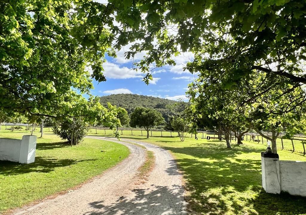 Photo of Outdoor in Buffalo Hills Game Reserve