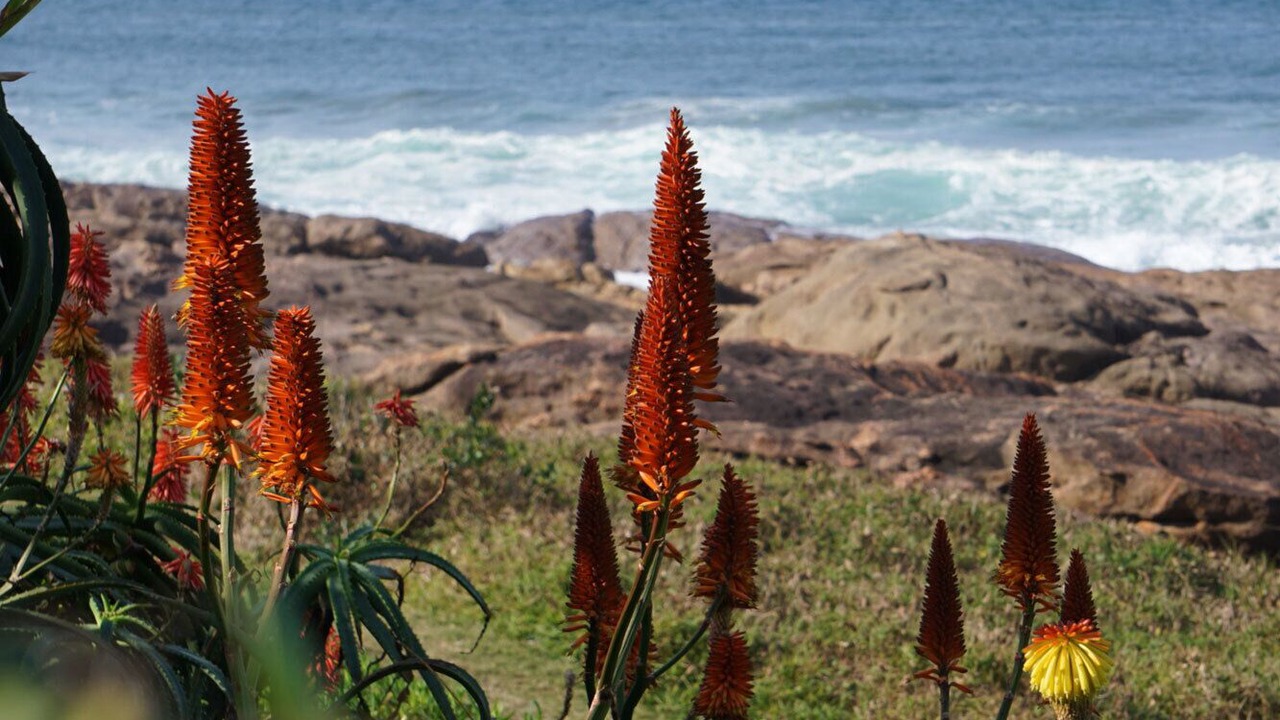 Photo of Outdoor in Ramsgate South