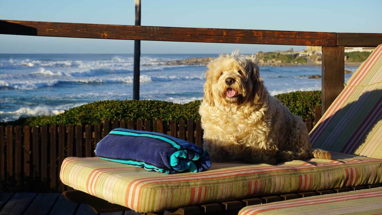 Photo of Outdoor in Ramsgate Beach