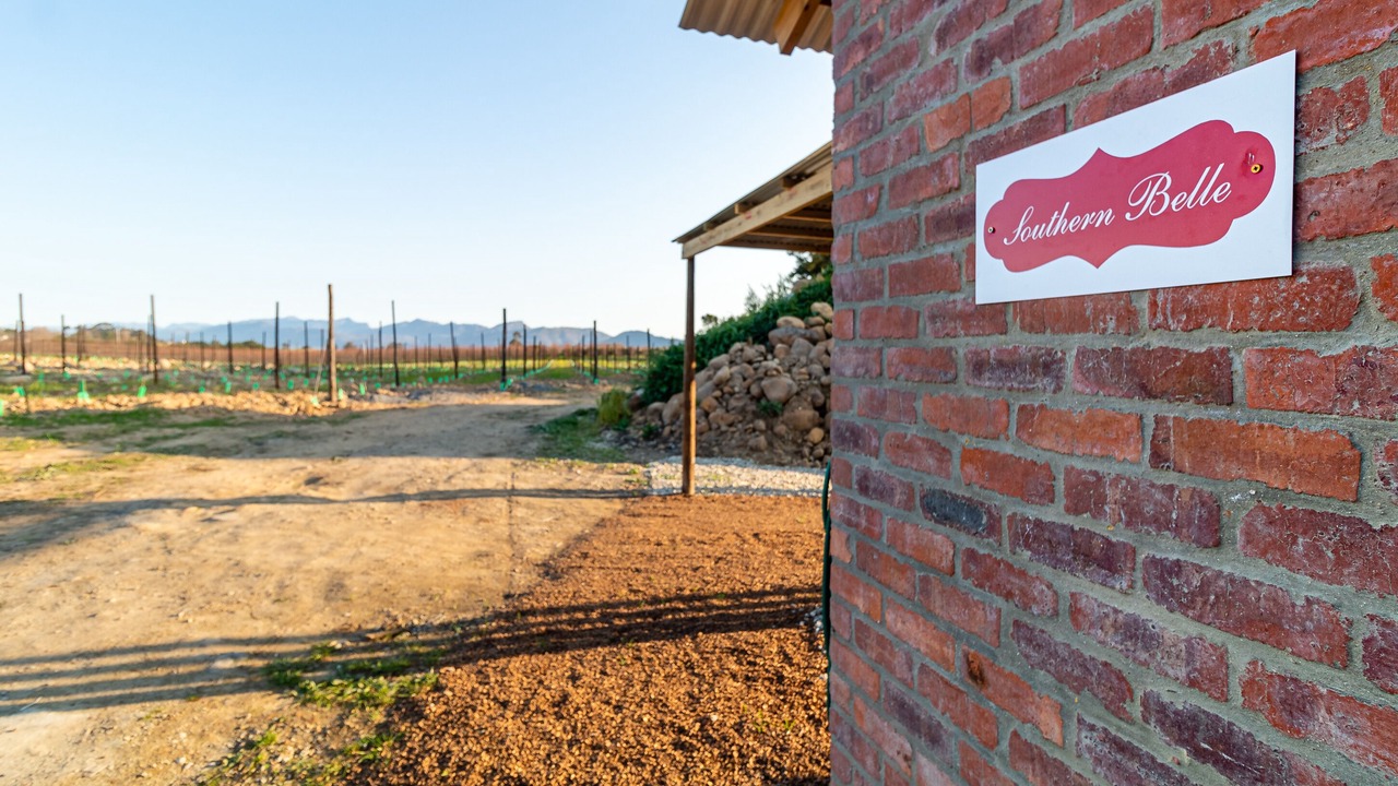 Photo of Outdoor in Tulbagh