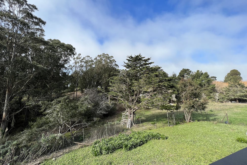 Photo of Others in Bolinas