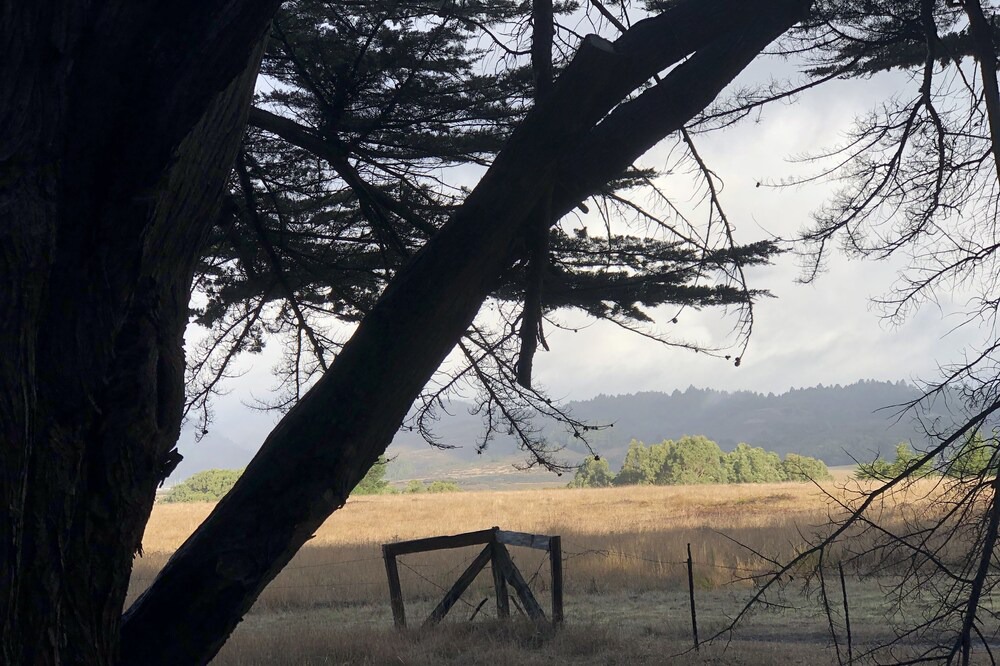 Photo of Outdoor in Bolinas