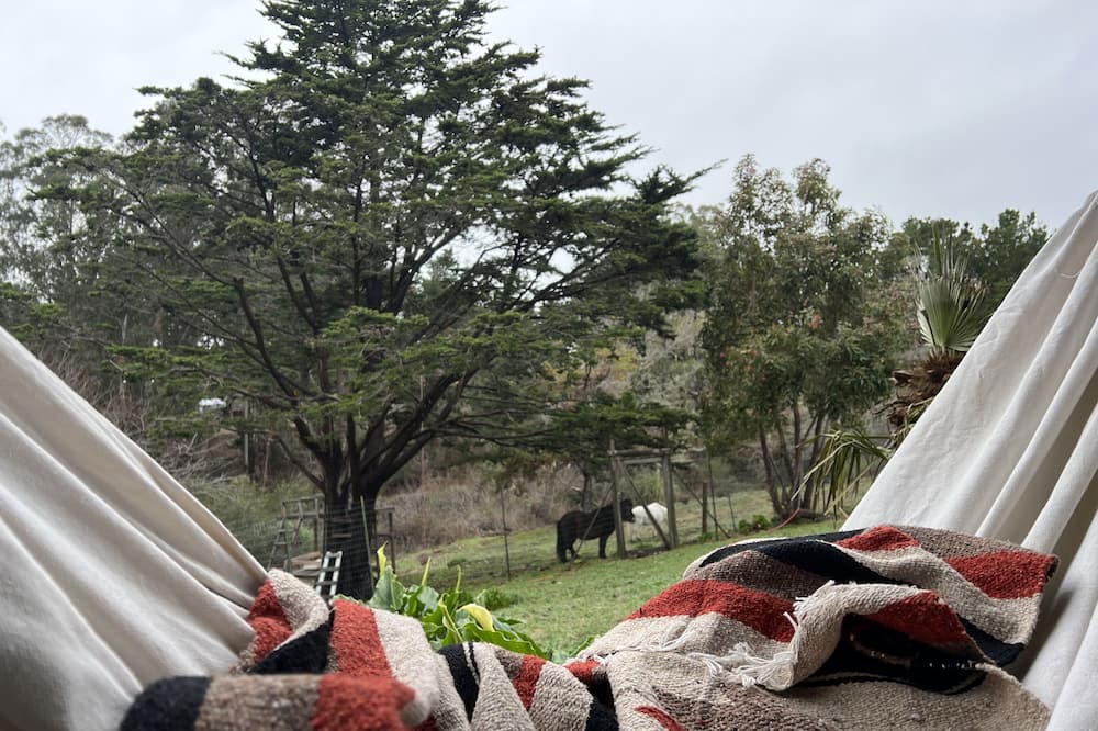 Photo of Outdoor in Bolinas