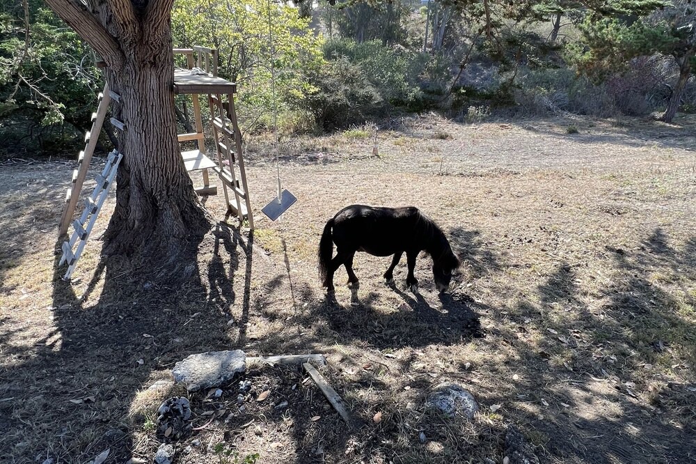 Photo of Outdoor in Bolinas