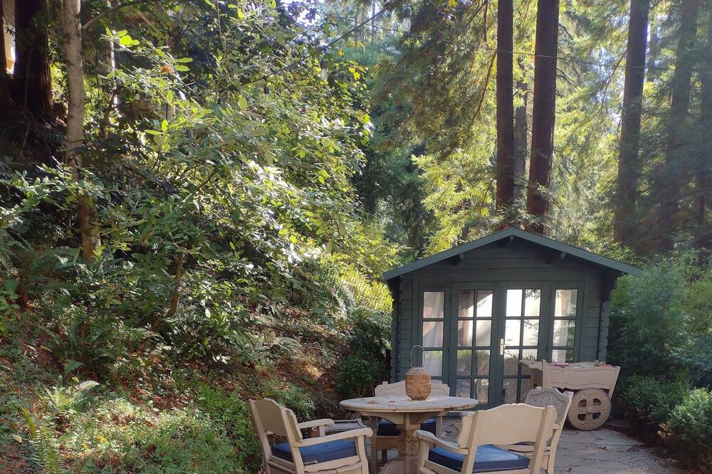 Photo of Outdoor in Mill Valley