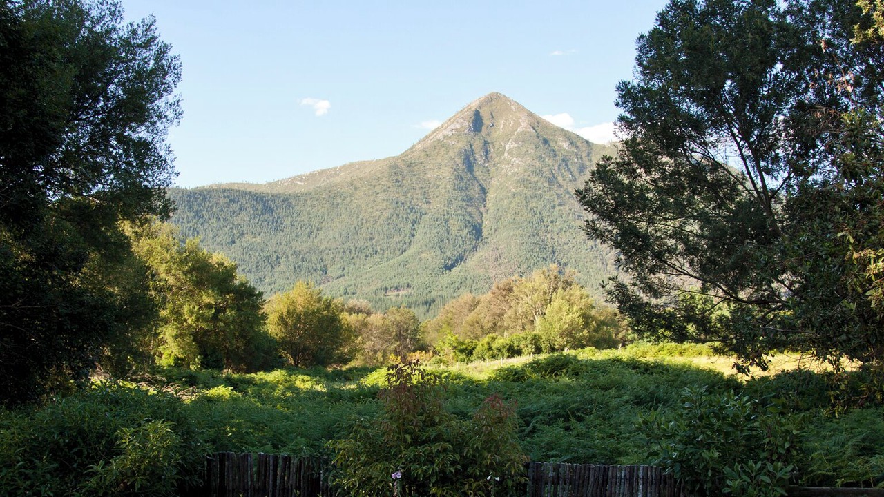 Photo of Others in Storms River