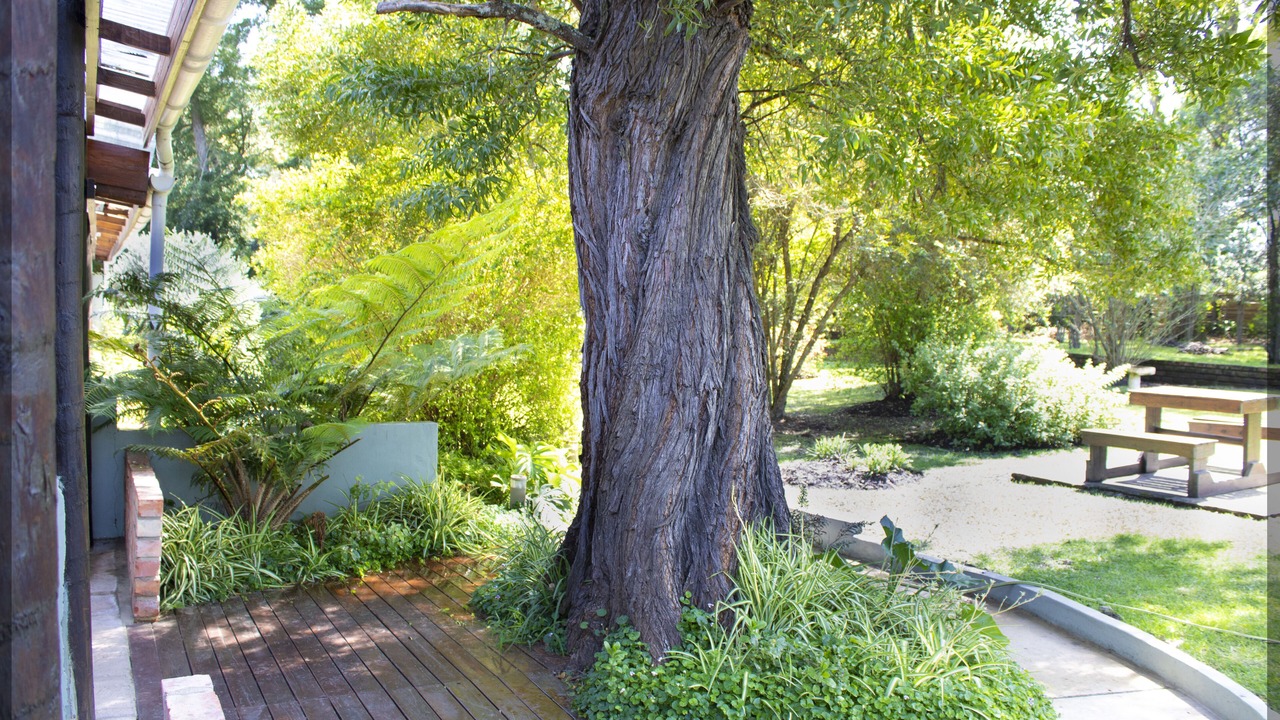 Photo of Outdoor in Storms River