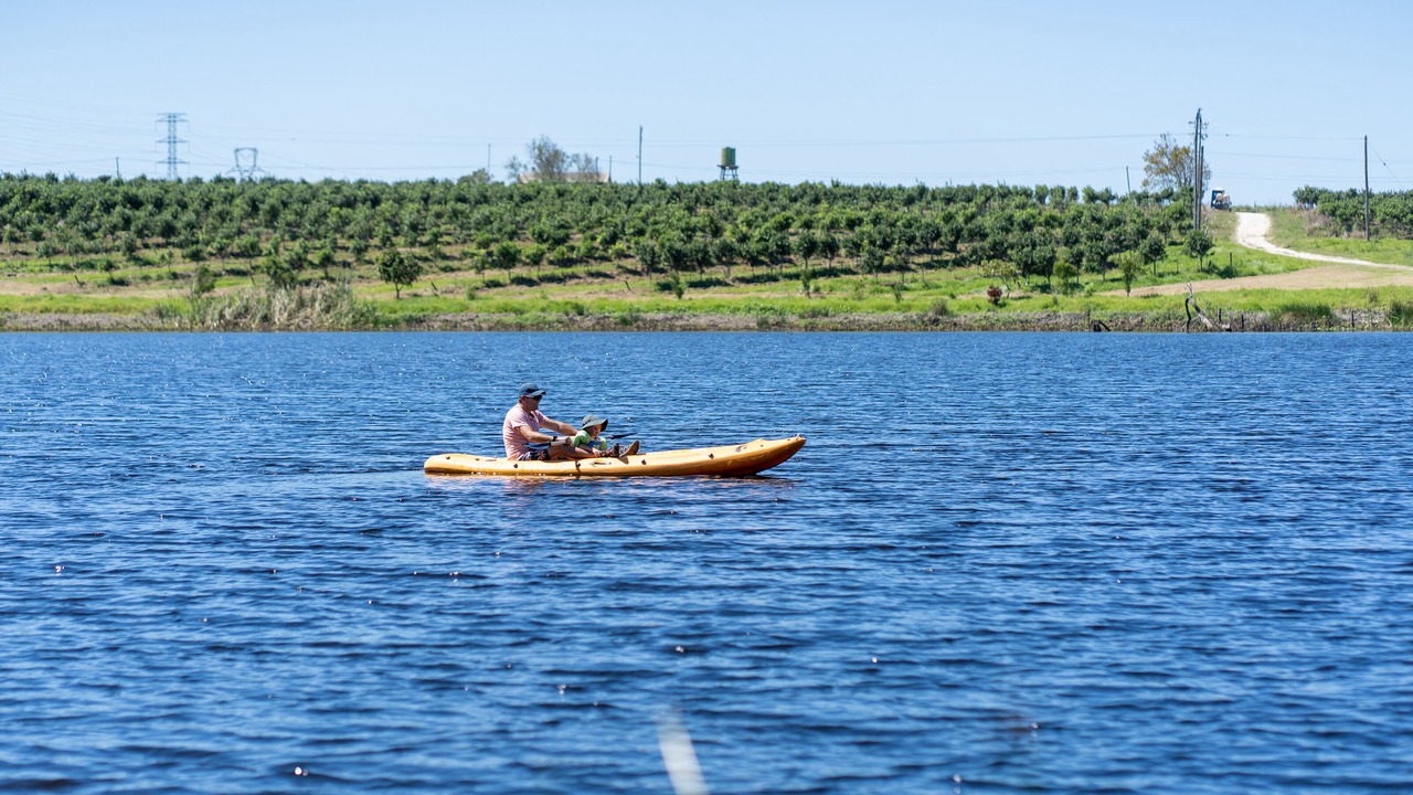 Photo of Others in Wilderness