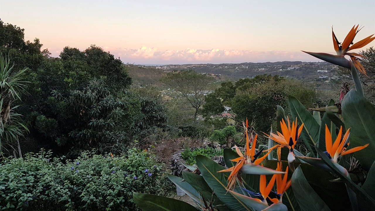 Photo of Outdoor in Beacon Bay