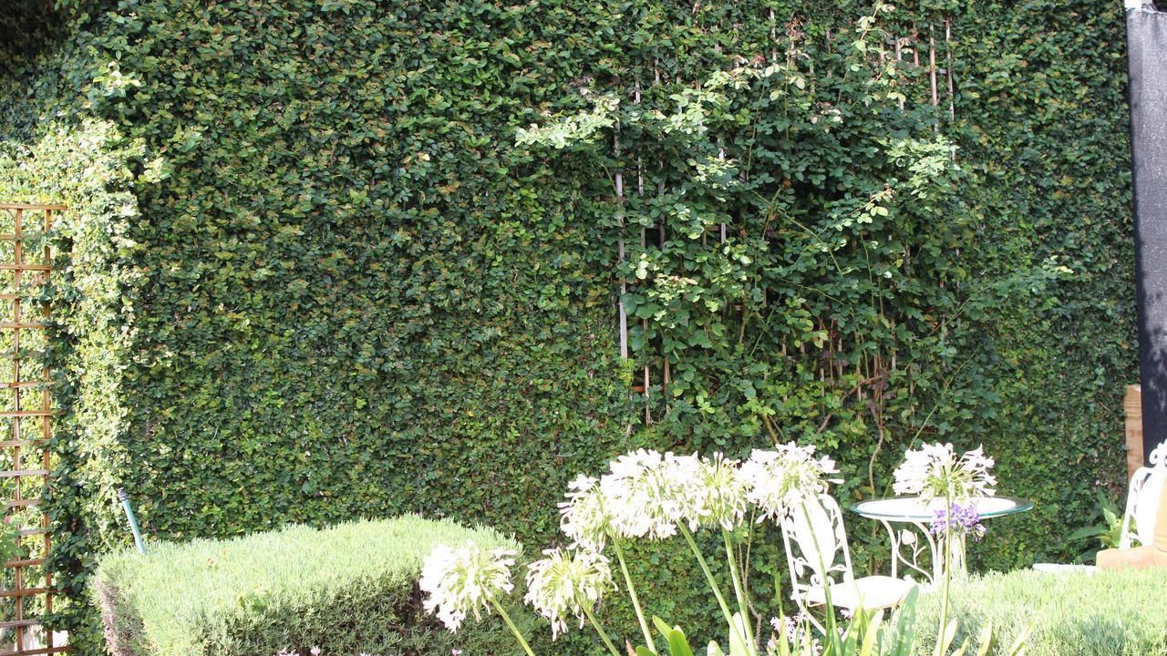 Photo of Outdoor in Polokwane