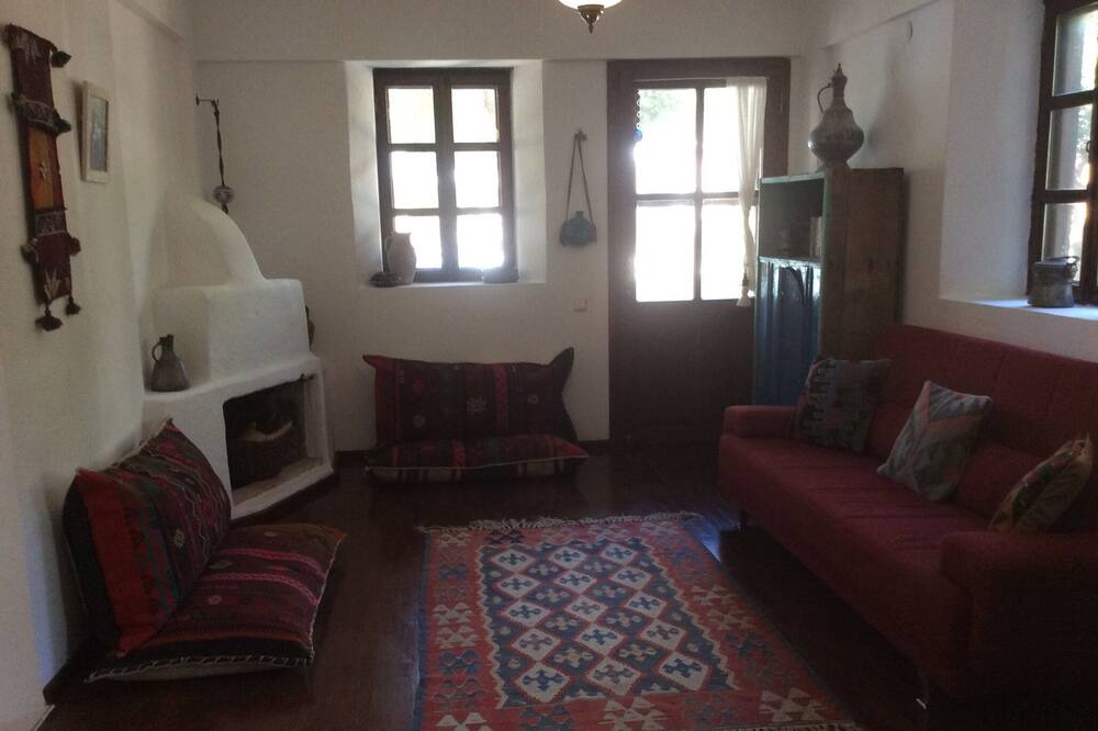 Photo of Livingroom in Olympos