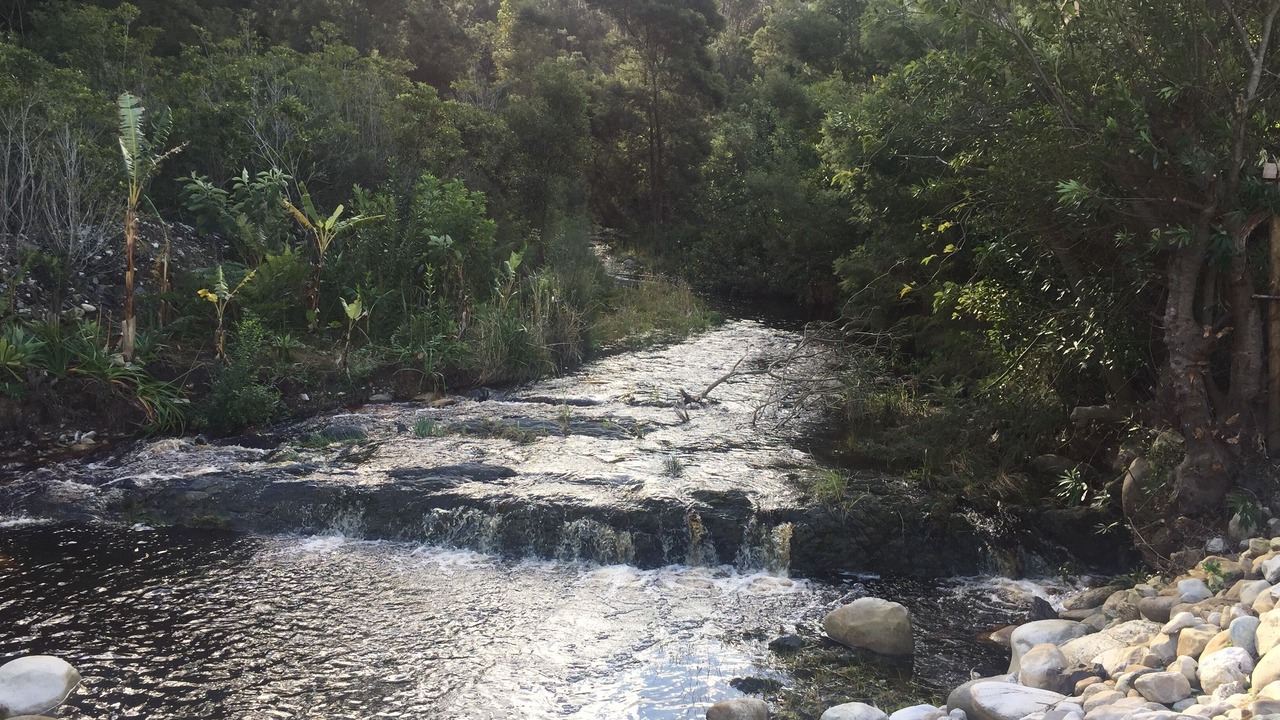 Photo of Others in Swellendam