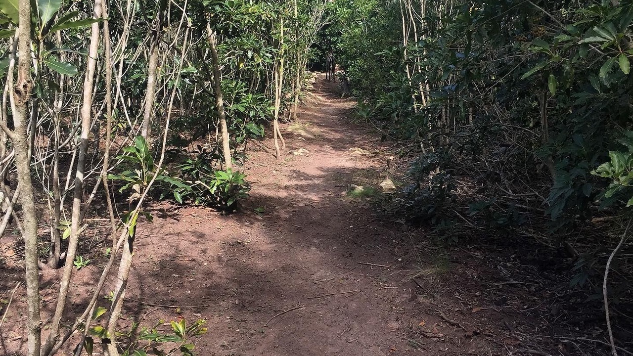 Photo of Outdoor in Swellendam