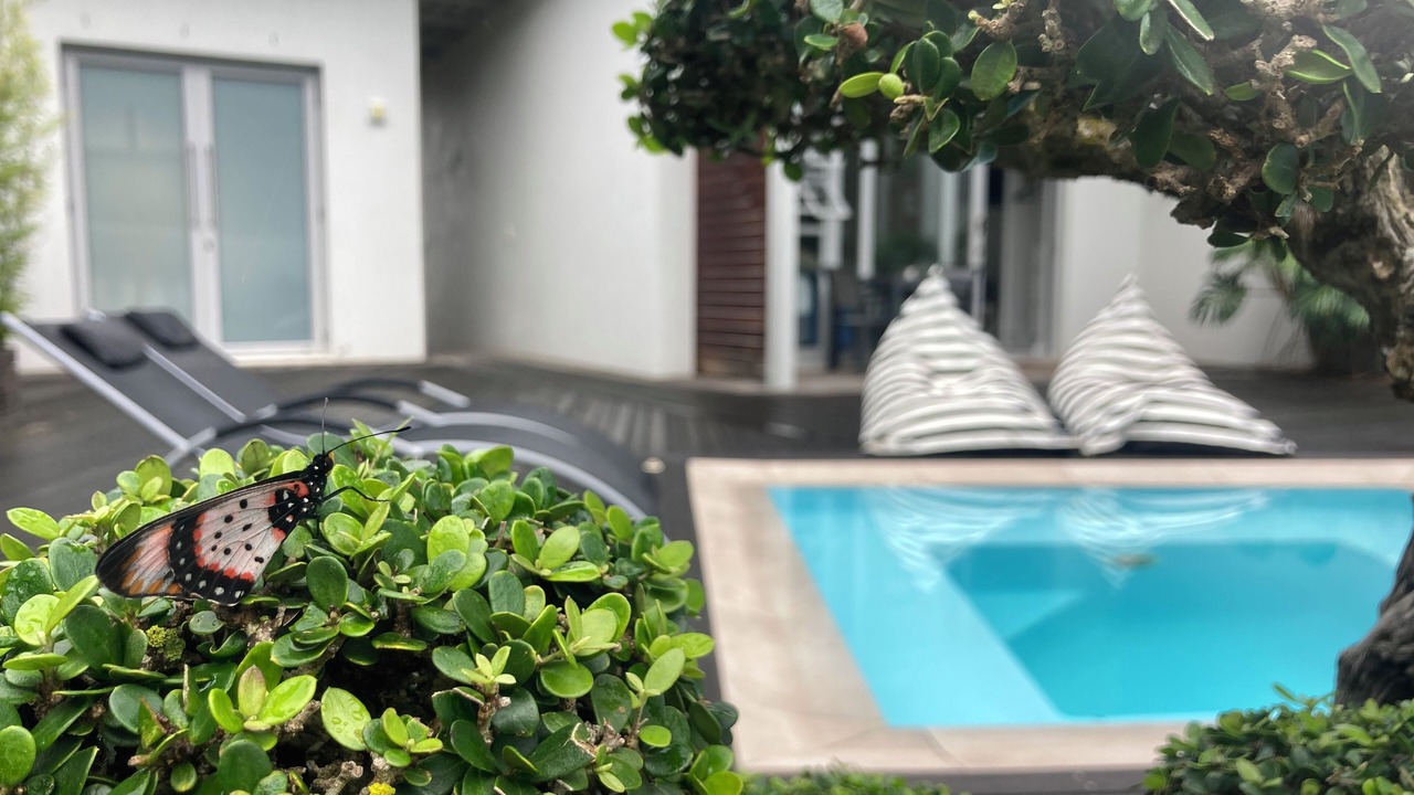 Photo of Outdoor in Swellendam