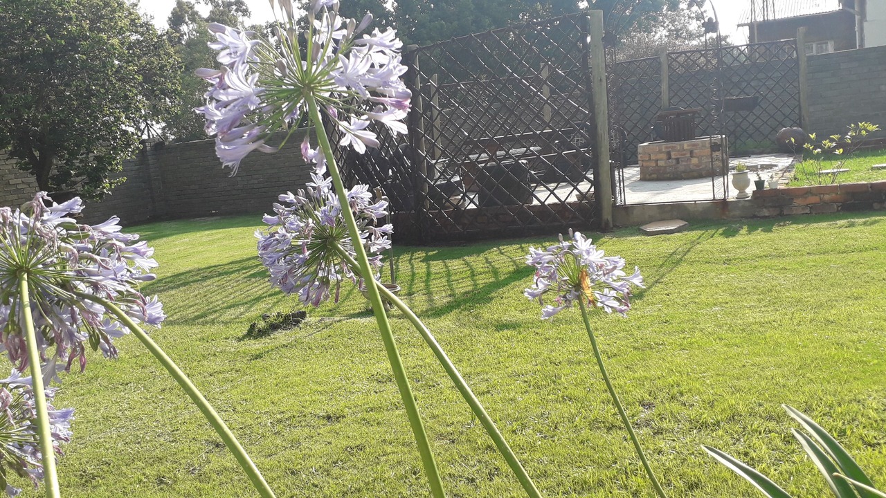 Photo of Outdoor in Ermelo