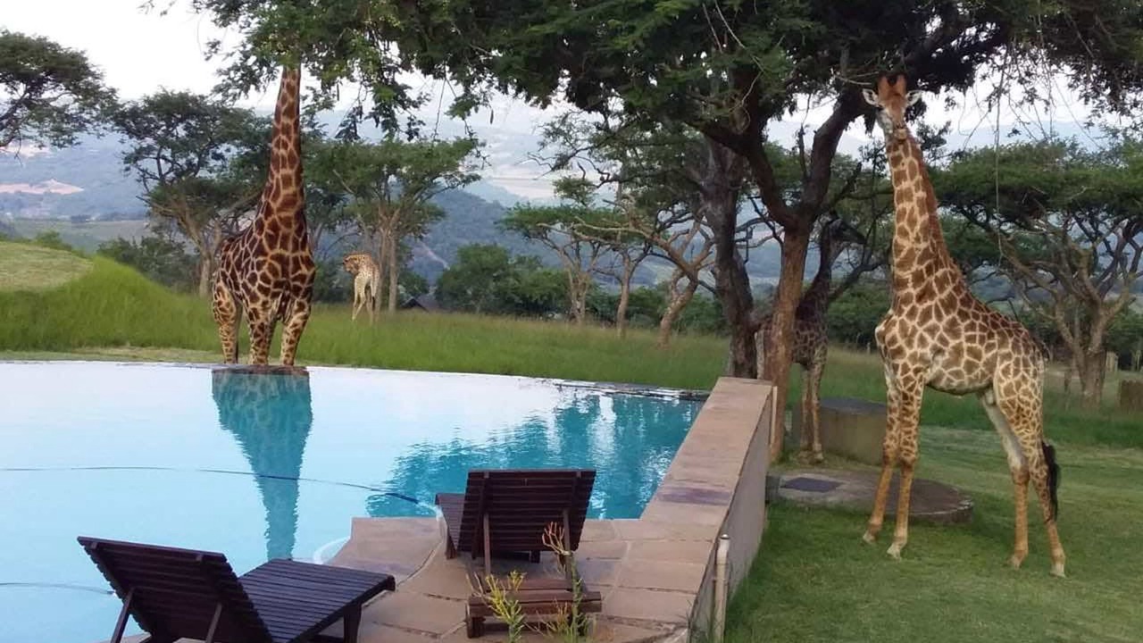 Photo of Outdoor in Mbombela