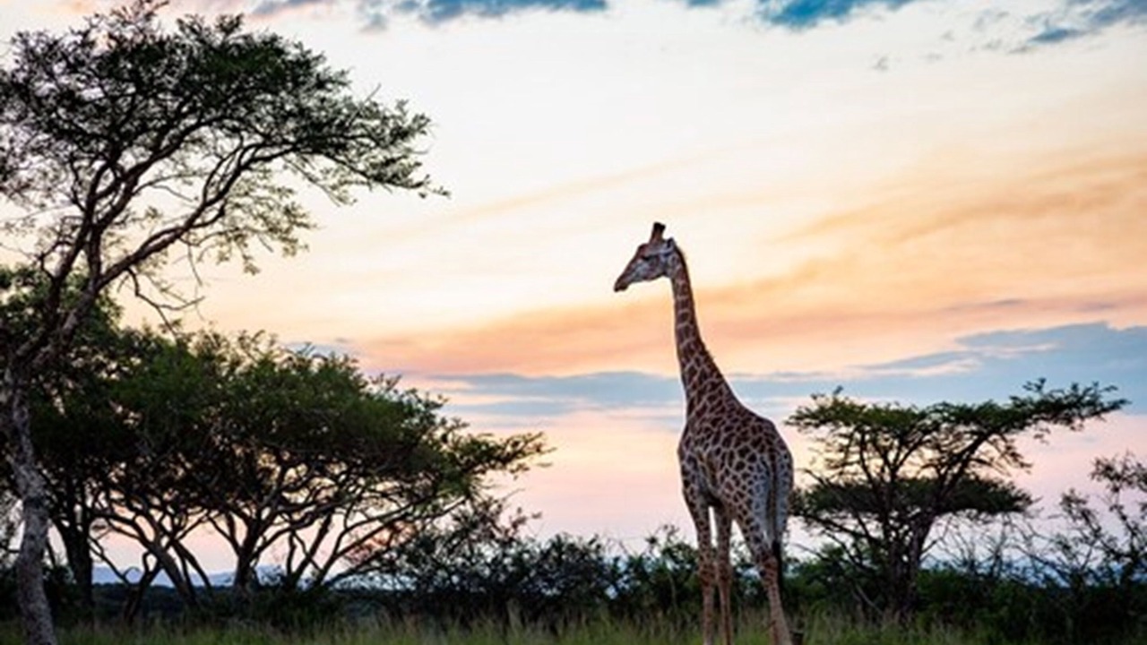 Photo of Outdoor in Mbombela