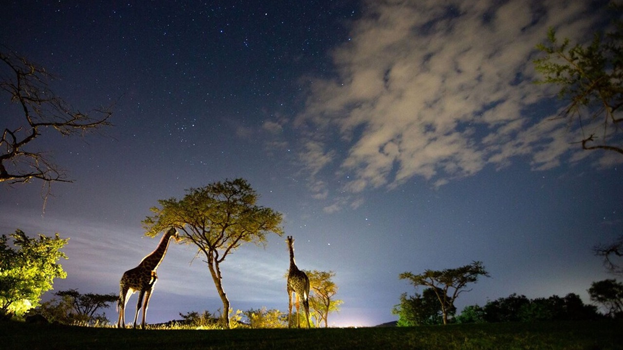 Photo of Outdoor in Mbombela
