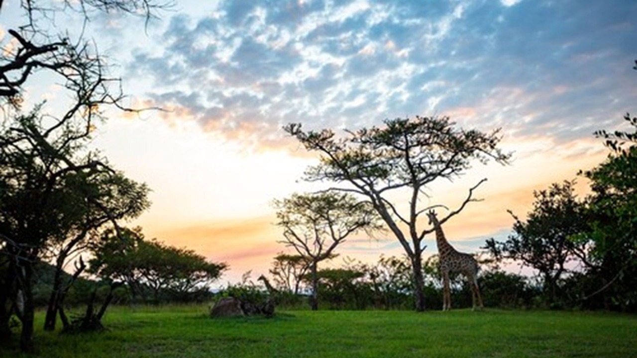 Photo of Outdoor in Mbombela