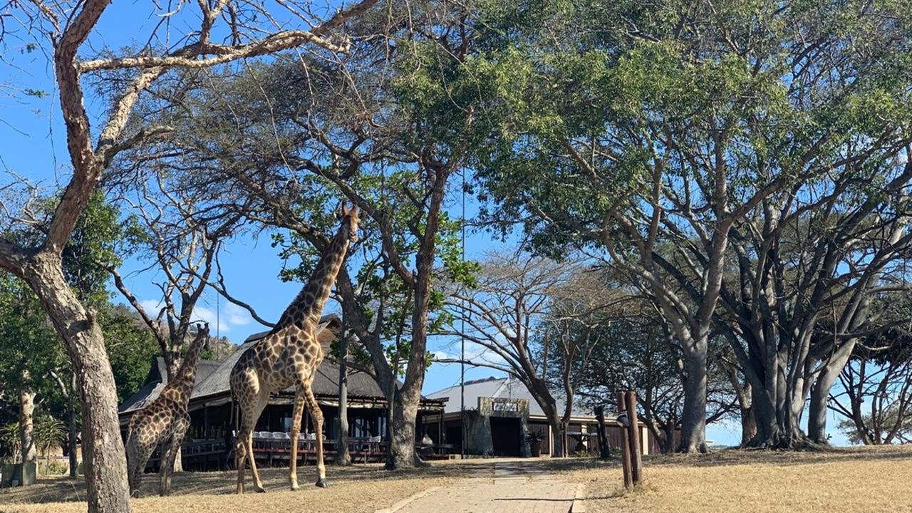 Photo of Outdoor in Mbombela