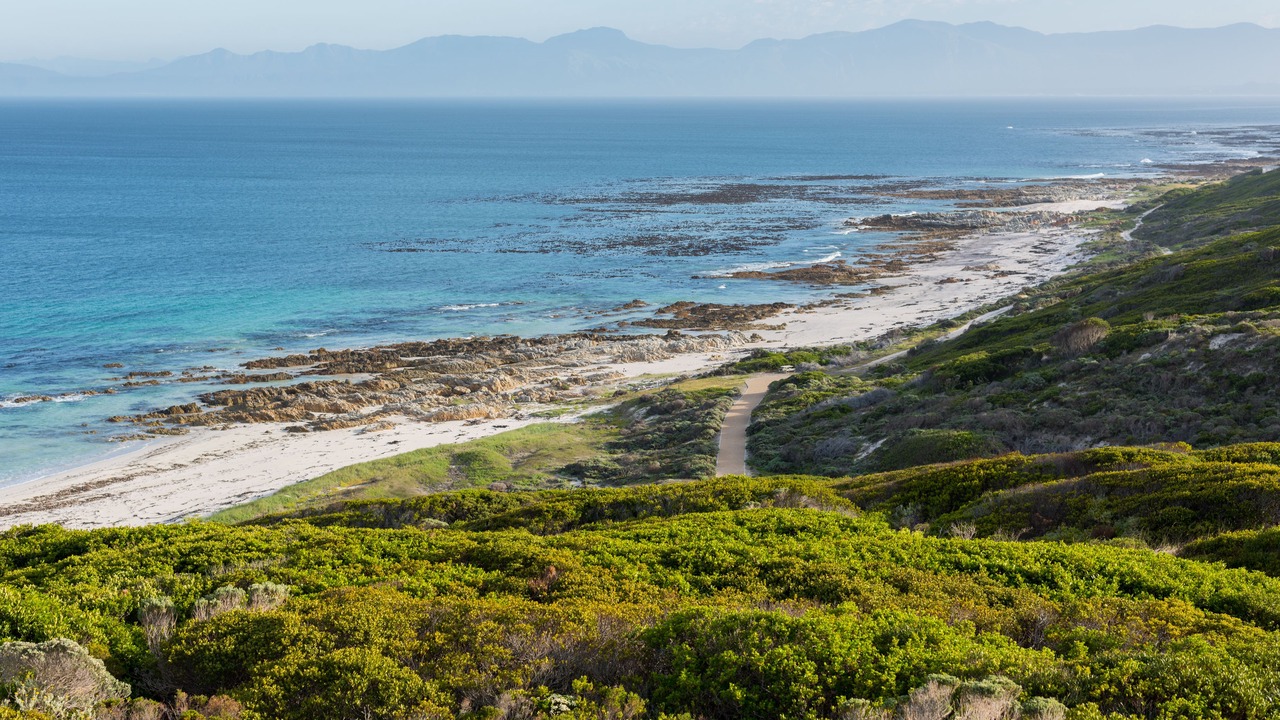Photo of Others in Gansbaai