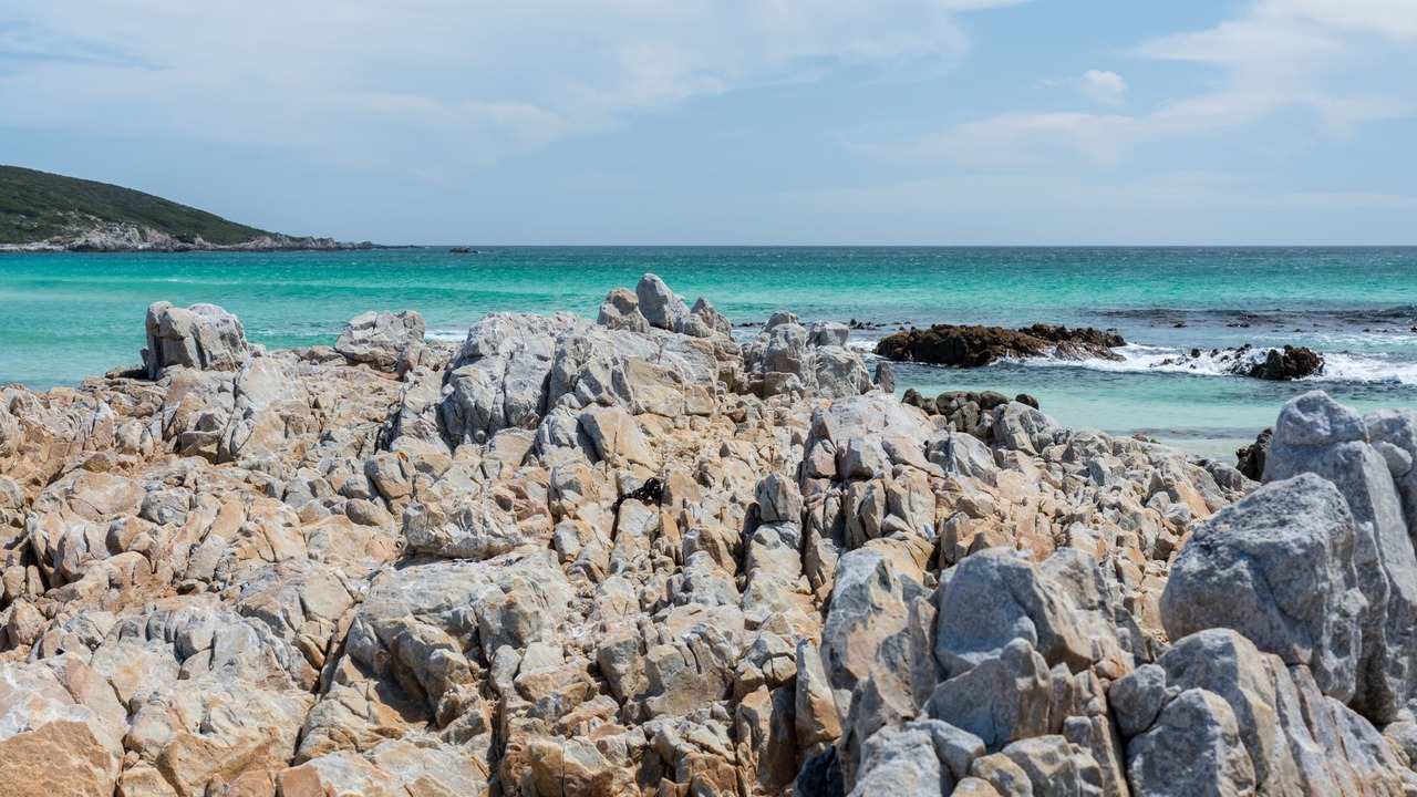 Photo of Others in Gansbaai