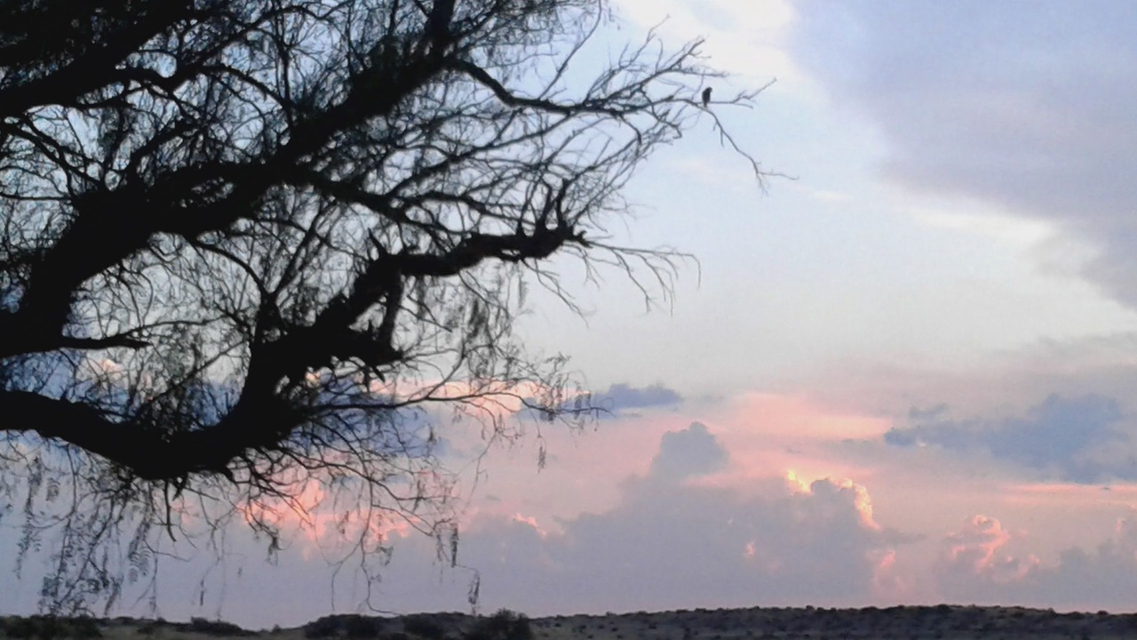 Photo of Outdoor in Philippolis