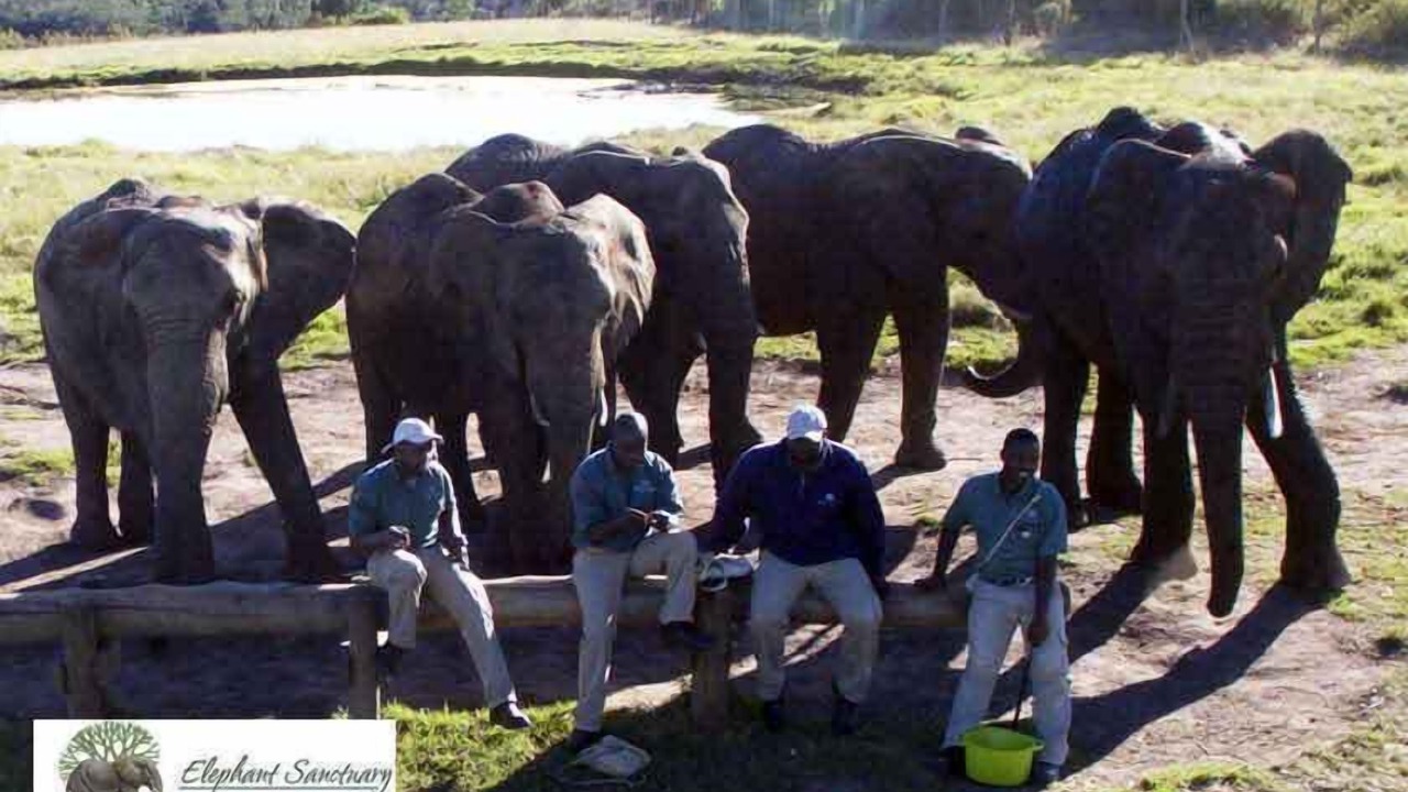 Photo of Others in Die Barakke