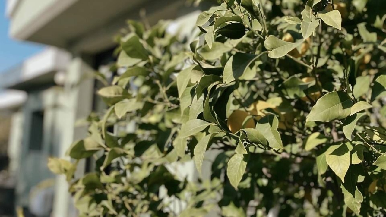 Photo of Outdoor in Iskele Mahallesi