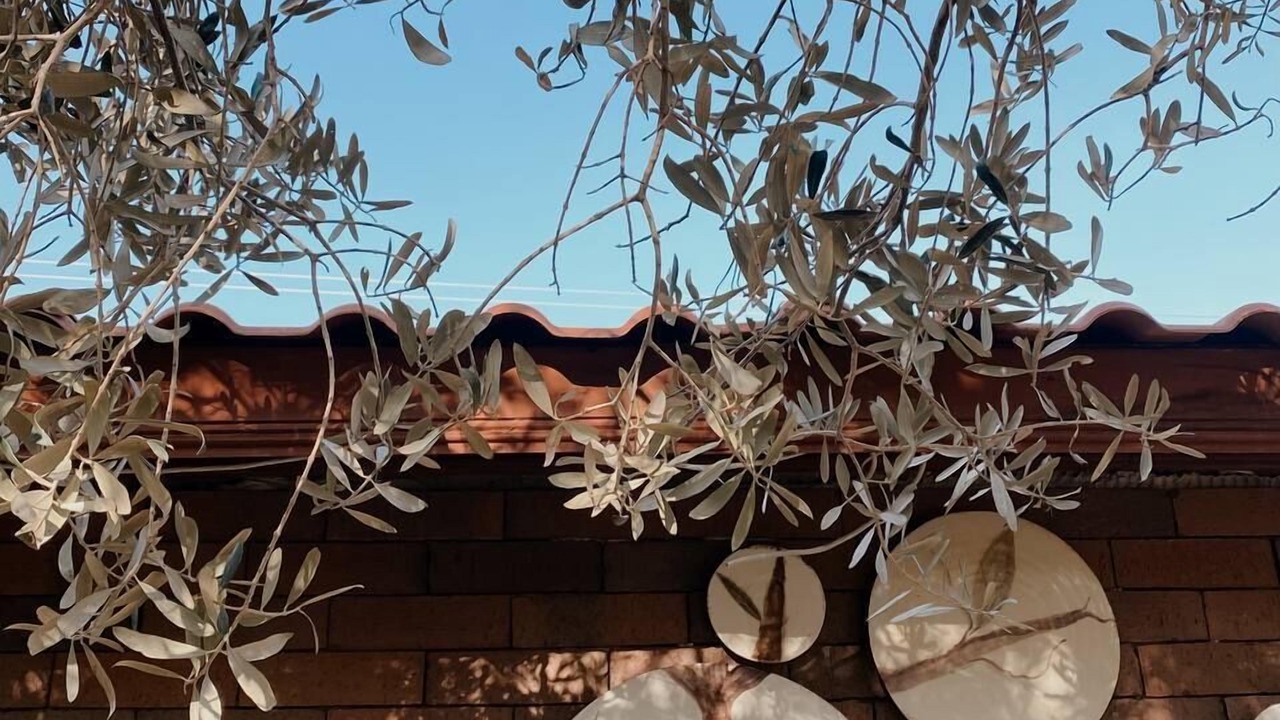 Photo of Outdoor in Iskele Mahallesi