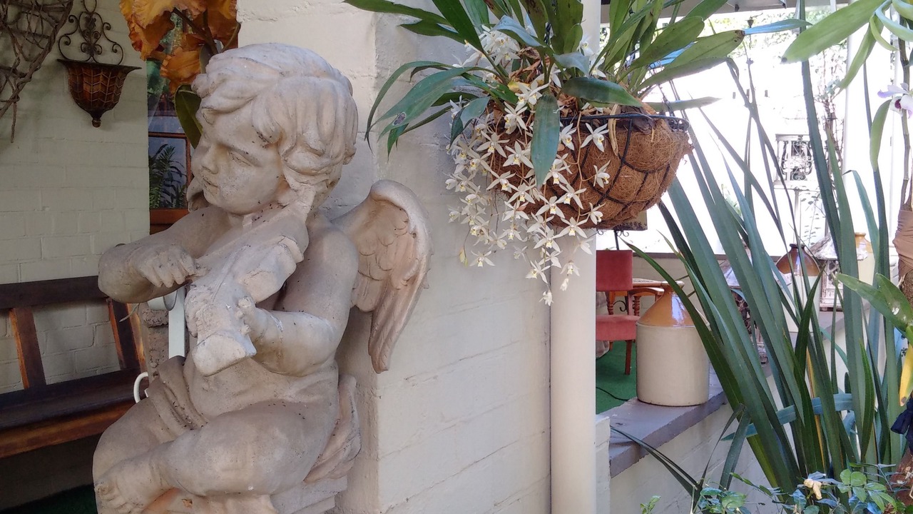 Photo of Patio Balcony in Scottsville