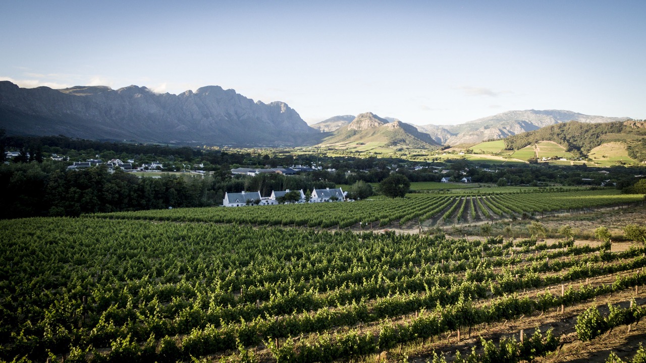 Photo of Others in Franschhoek