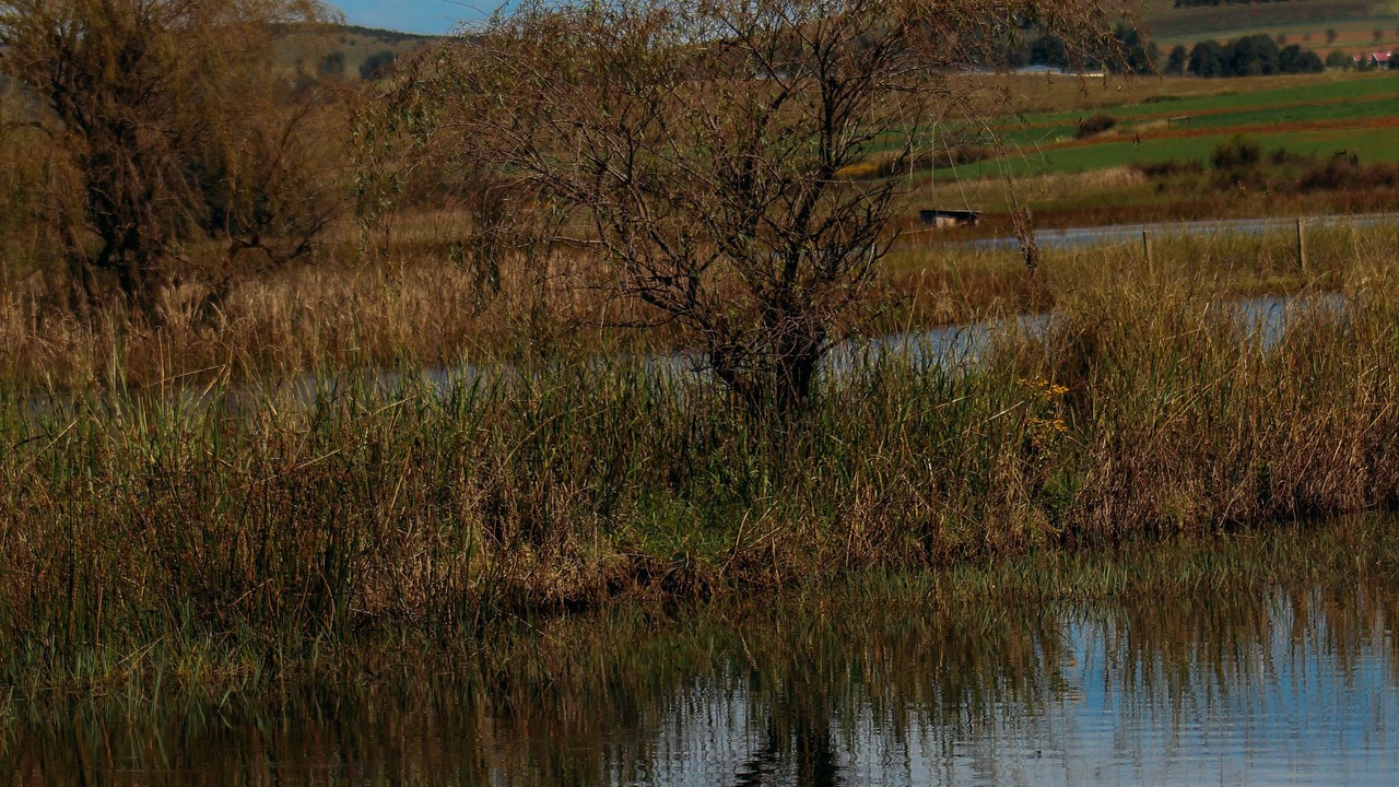 Photo of Outdoor in Himeville