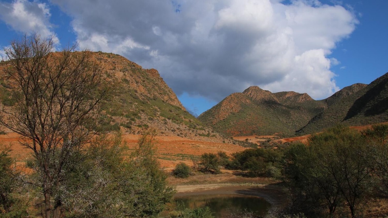 Photo of Others in Calitzdorp