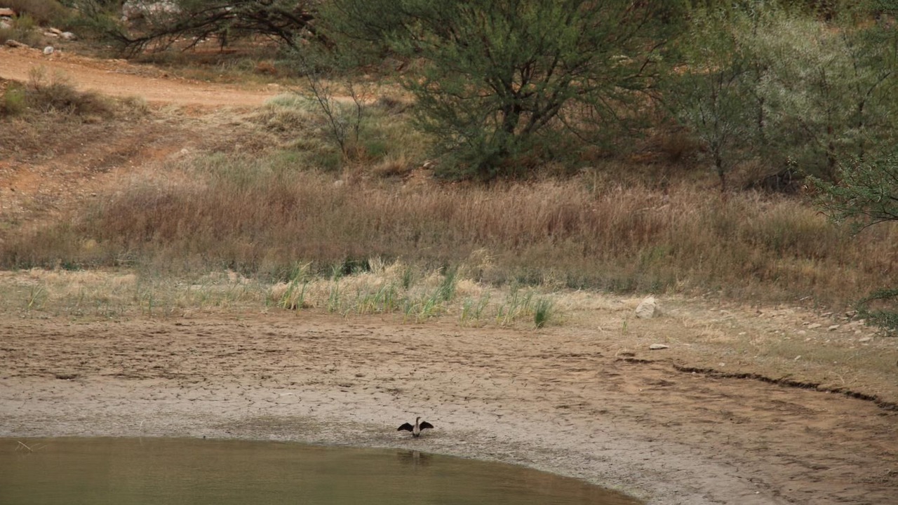 Photo of Outdoor in Calitzdorp