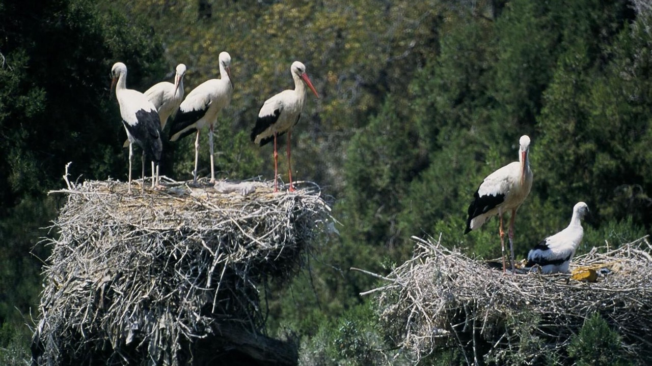 Photo of Outdoor in Beysehir