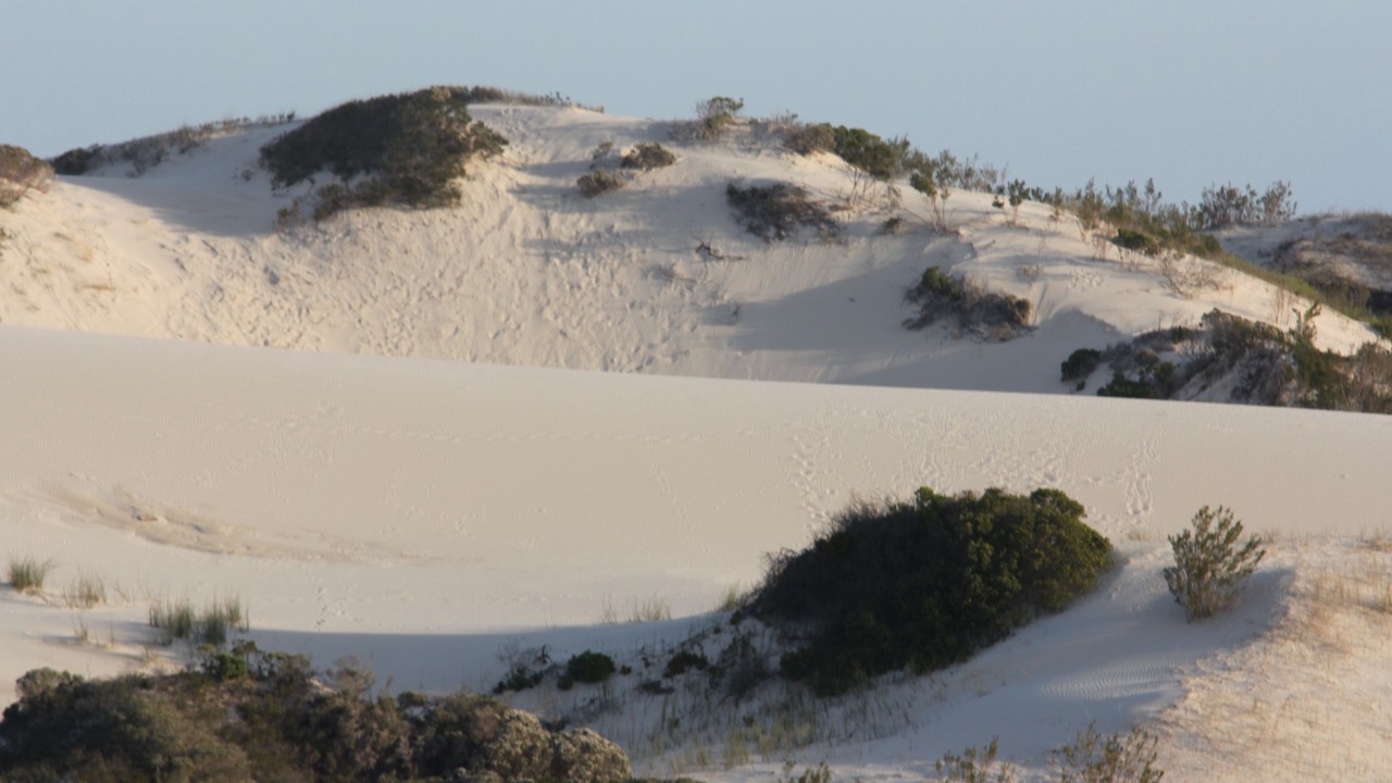 Photo of Others in Arniston