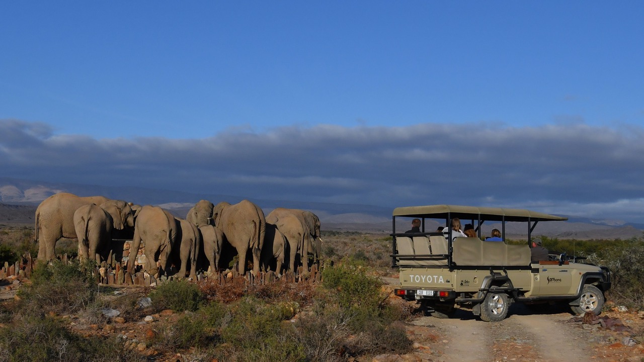 Photo of Others in Barrydale