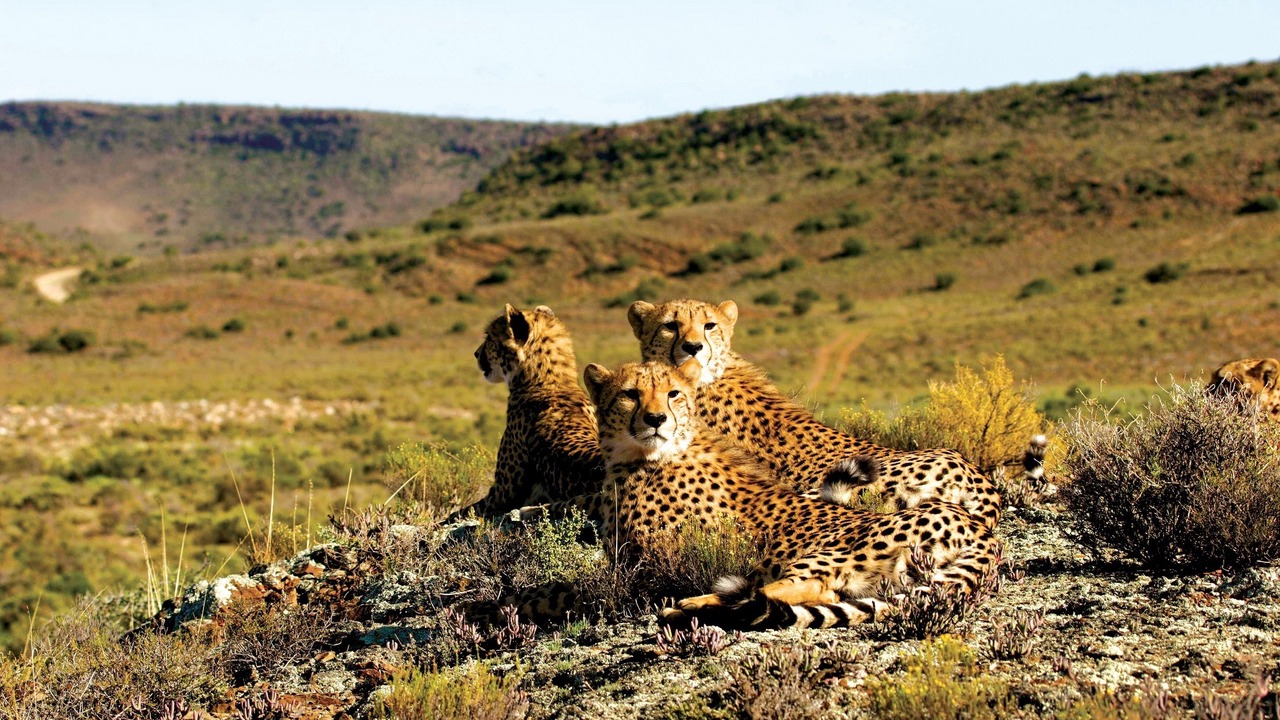 Photo of Others in Barrydale