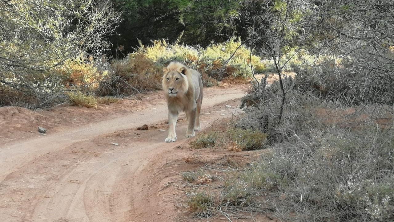 Photo of Others in Barrydale
